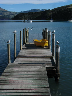 AKAROA