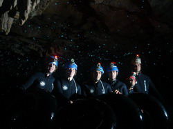 מערות וואיטומו   Waitomo Cave