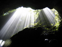 מערות וואיטומו   Waitomo Cave