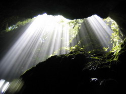 Waitomo Cave