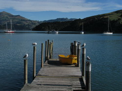 אקרואה Akaroa וחצי האי בנקס Banks Peninsula