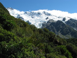 הר קוק Mt Cook