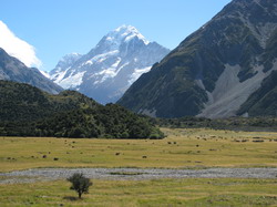 הר קוק Mt Cook