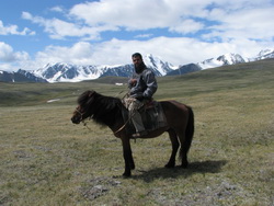 טרק סוסים במונגוליה